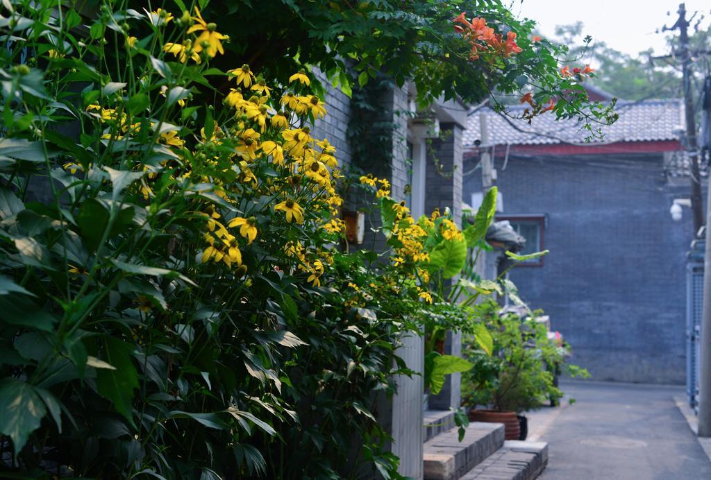 Peking Garden Boutique Hotel Exteriér fotografie