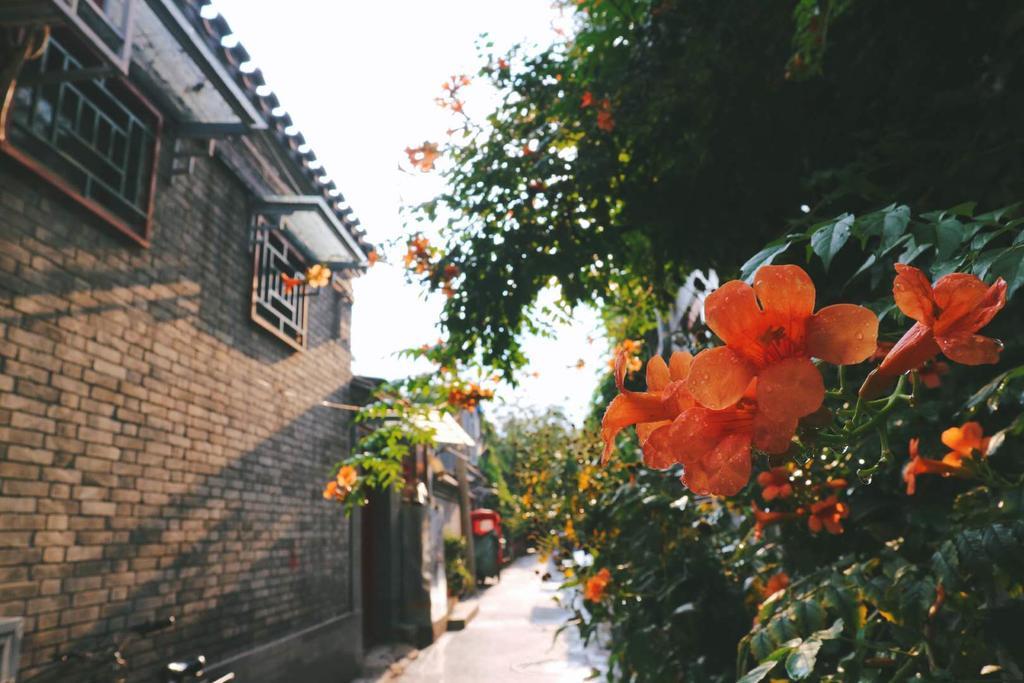 Peking Garden Boutique Hotel Exteriér fotografie